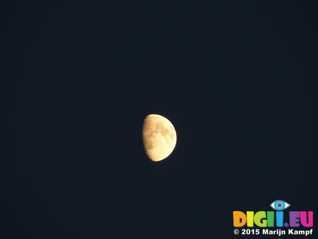 FZ018446 Moon over campsite